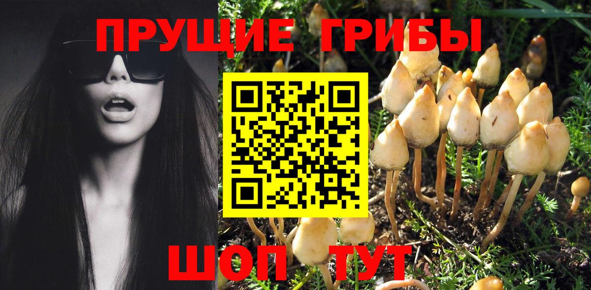 Псилоцибиновые грибы MAGIC MUSHROOMS Мирный
