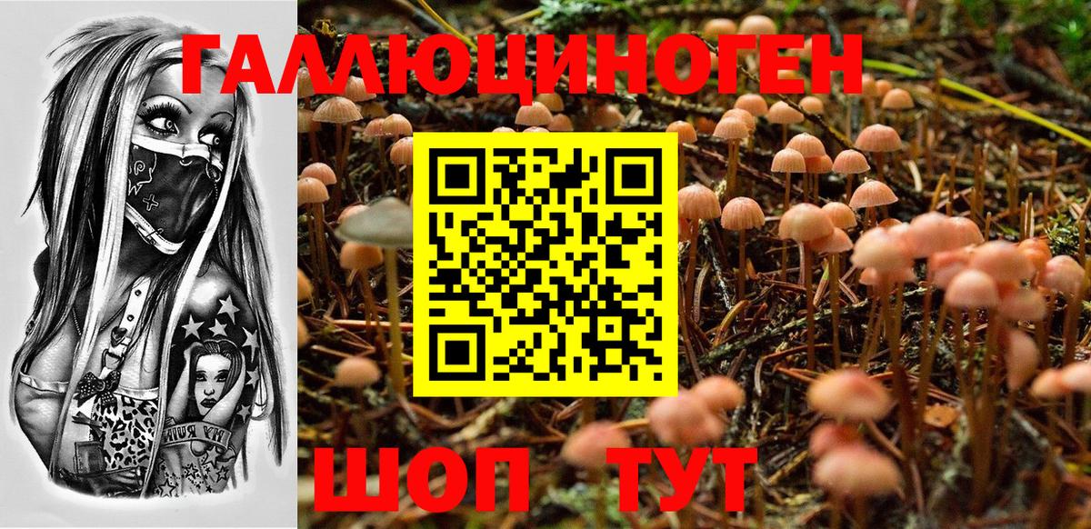 Галлюциногенные грибы Cubensis  Вход с VPN  Галлюциногенные грибы Psilocybe  Мирный 
